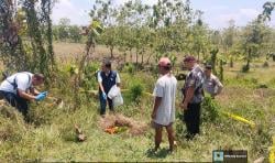 Bayi Dibuang di Hutan Jati Malo, Polisi Telusuri Pelaku Lewat Data RS dan Puskesmas