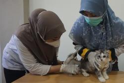Karantina Jatim Ajak Warga Sidoarjo Wujudkan Zona Bebas Rabies Lewat Vaksinasi Gratis