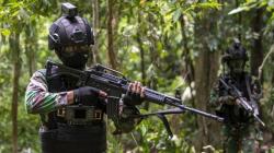 Kepala Staf Operasi Tewas dalam Baku Tembak TNI di Intan Jaya, Ini Identitas 14 OPM yang Dilumpuhkan