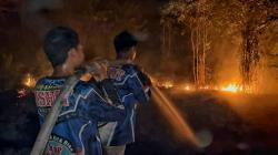 Tim Gabungan Dalkarhutla Berhasil Padamkan Kebakaran Lahan Gambut di Palangka Raya