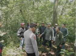 Perusakan Kebun Kopi PTPN di Lereng Ijen Kembali Terjadi, Polisi Selidiki Pelaku