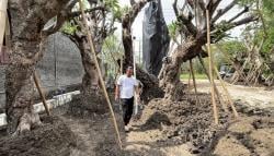 Warga Desa Wanar Lamongan Siap Wujudkan Ekonomi Hijau Lewat Industri Tanaman Hias
