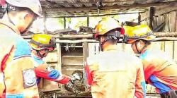 Makan Ayam di Dalam Kandang, Ular Piton 4 Meter Dievakuasi Petugas Damkar Palangka Raya