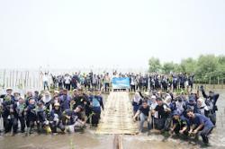 Rimbun Mangrove Lestari Indonesia, Aksi Nyata Hijaukan Pesisir Tangerang