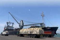 Kembangkan Pelabuhan Probolinggo, Pemprov Jatim Butuh Rp7 Triliun