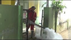 Dua Siswa SD di Pantura Subang Meninggal Dunia Akibat DBD, Puskesmas Lakukan Fogging Massal