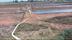 Petambak Garam di Indramayu Keluhkan Saluran Air Tertutup dan Jalan Rusak