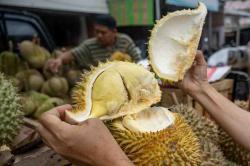 Musim Durian, Wisata Budaya Baduy Kian Ramai Pengunjung
