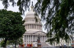 Demokrat Kembali Gagalkan Rancangan Anggaran, Shut Down Pemerintah AS Berlanjut
