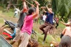 Bentrok Perebutan Sawit di Rohil, Tujuh Orang Luka-Luka,
