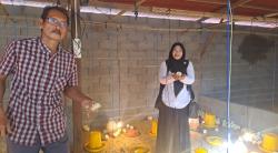 BUMG Harapan Bersama Ujung Tanah Kembangkan Usaha Ayam Potong: Dukung Ketahanan Pangan