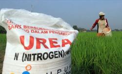 Tani Merdeka: Belum Pernah Ada Presiden Sekeren Ini, Harga Pupuk Subsidi Sampai Diturunkan 20%