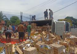 Hindari Pemotor Menyebrang Sembarangan, Truk Bermuatan Jeruk Terguling di Jalur Pantura Kraksaan