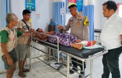 Warga Inhu Dikeroyok Harimau Saat Cari Damar