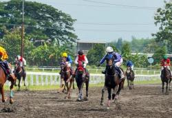 Tim Dez Stable Kuningan Juara di Kejurnas, Pordasi Daerah Disorot