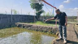 Manfaatkan Potensi Alam, Cara Desa di Probolinggo Dukung Program Ketahanan Pangan