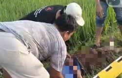 Warga Ponorogo Geger, Penemuan Pria Tergeletak dan Motornya di Sawah