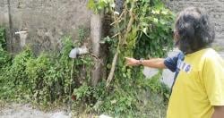 Viral! Warga Grobogan Mengamuk, Limbah Dapur MBG Diduga Cemari Lingkungan Desa