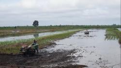 Sumber Daya Alam Melimpah, Kabupaten Lebak Berpotensi Jadi Sentra Industri Banten