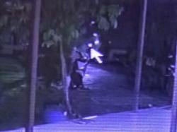 Terekam CCTV, Pria Tak Dikenal Curi Motor Mahasiswa yang Sedang Salat di Masjid Palangka Raya