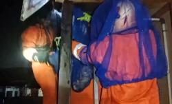 Petugas Damkar Palangka raya Evakuasi Sarang Tawon Vespa Berbahaya di Atas Tandon Air Milik Warga