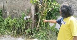 Diduga Cemari Lingkungan, Warga Grobogan Protes Limbah Dapur Program Makan Bergizi