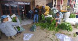 Musim Penghujan, Petani Keluhkan Harga Jual  Sayuran Malah Anjlok