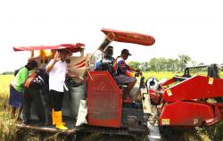 Syukuran Panen Raya di Sumberejo, Bupati Dorong Petani Inovatif dan Ramah Lingkungan