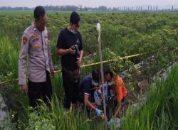 Fatal! Seorang Petani di Penawangan Meninggal Tersengat Aliran Listrik Saat Pasang Jebakan Tikus