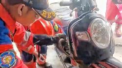 Anak Ular Piton keluar dari Box Motor Matic Bikin Heboh Pengendara di Palangka Raya