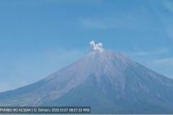 Luncurkan Abu Vulkanik, Gunung Semeru Kembali Erupsi Pagi Ini