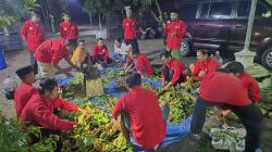 Pemerintah Turunkan Harga Pupuk 20 Persen, Program PRLB Pemkab Ngawi Terancam Kandas