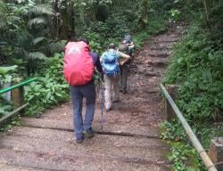 BREAKING NEWS 36 Pendaki Ilegal Gunung Gede Pangrango Disanksi Berat, Dipaksa Minta Maaf di Medsos