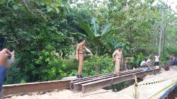 Jembatan di Blora Putus Diterjang Hujan Deras, Anak Sekolah Harus Memutar 15 Kilometer