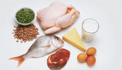 Kreatin dan Protein: Kombinasi Nutrisi untuk Meningkatkan Performa dan Pemulihan Otot