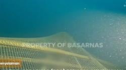 Tim Penyelam Basarnas Temukan 1 Korban KM Mina Maritim, Terjebak Jaring Ikan di Kedalaman 48 Meter