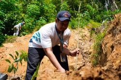 Inovasi Energi Hijau Bali: PLN Icon Plus Hadirkan Smart PVR Pertama di Klungkung