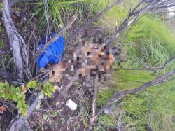 Mayat Pria Ditemukan di Kawasan Puncak Ciremai, Diduga Tewas Sudah 7 Hari Lalu