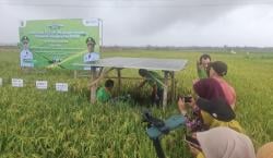 Sinar Matahari dan Pompa Tenaga Surya Jadi Harapan Baru Petani Banjurpasar, Kebumen