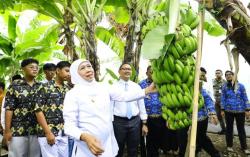 Program School Food Care, Cara Kreatif Sekolah di Jatim Wujudkan Ketahanan Pangan dan Edukasi Hijau