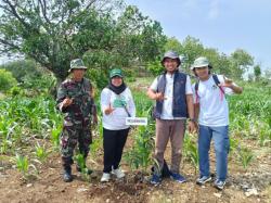 Lestarikan Alam, Jejak Lestari Rengel, Pemdes dan EMCL Tanam Pohon Bersama di Puncak Baswara