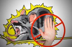 Petani Tewas Tersengat Listrik Jebakan Tikus di Sawah, Camat Cibuaya Ambil Langkah Tegas