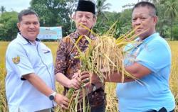 Ketahanan Pangan Bangsa, Banten Panen 10 Hektare Padi Unggulan