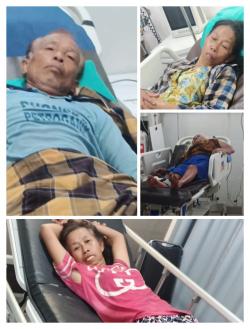 Empat Petani Boyolali Diserang Tawon Vespa, Dua Dirawat Inap di Rumah Sakit