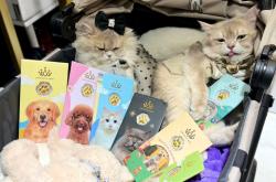 Unik! Emas Bernuansa Hewan Peliharaan Ramaikan Pet Expo 2025 di ICE BSD Tangerang