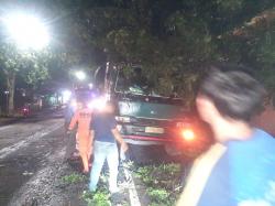 Pohon Angsana Tumbang di Jalur Pantura Situbondo, Timpa Truk Kontainer