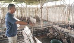 Desa di Probolinggo Ini Siap Sukseskan Program Ketahanan Pangan Lewat Beragam Model Usaha