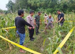 Pamit Cari Rumput, Seorang Warga Pandanharum Gabus Ditemukan Meninggal di Sawah