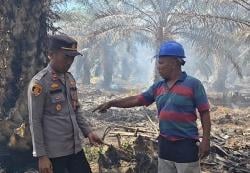 Gegara Puntung Rokok 7 Hektare Lahan di Rohil Terbakar, Pemilik Ditangkap ‎