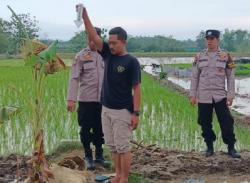 Nahas! Seorang Pria Meninggal Tersambar Petir di Persawahan Kalangdosari, Ngaringan